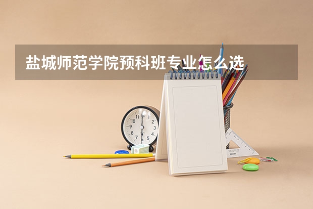 盐城师范学院预科班专业怎么选