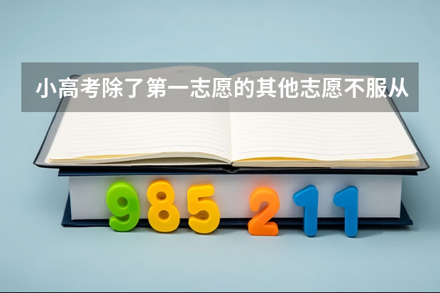 小高考除了第一志愿的其他志愿不服从调剂会脱档吗？