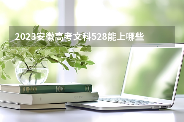 2023安徽高考文科528能上哪些大学 