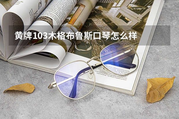 黄牌103木格布鲁斯口琴怎么样