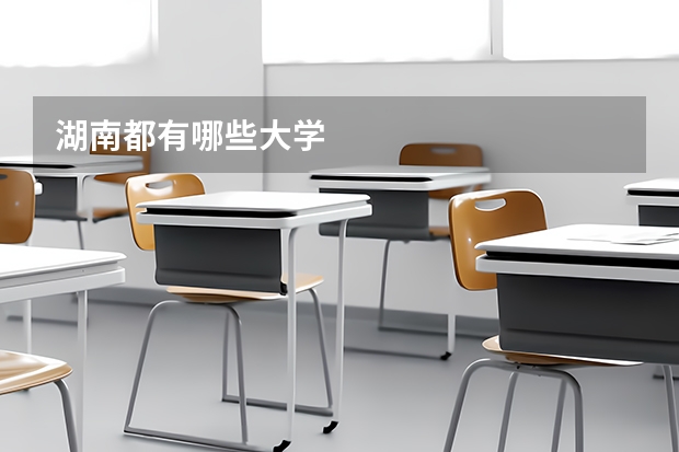 湖南都有哪些大学