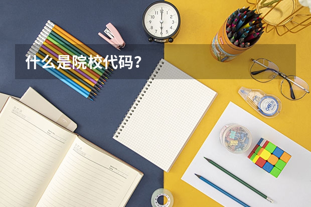 什么是院校代码？