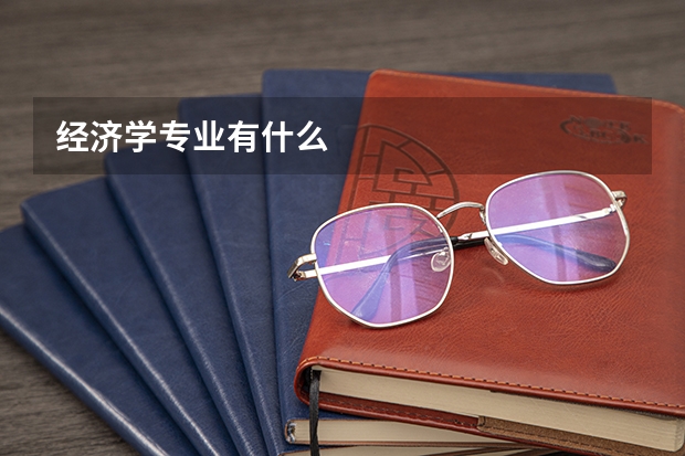 经济学专业有什么