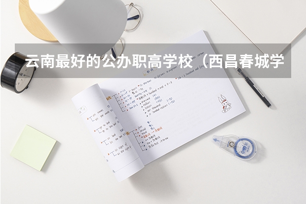 云南最好的公办职高学校（西昌春城学校地址）