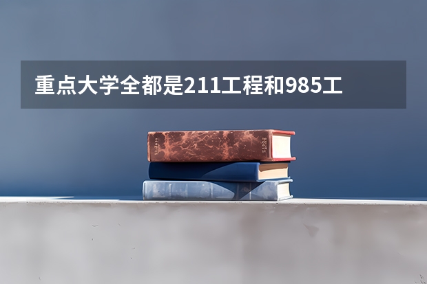 重点大学全都是211工程和985工程吗？还有其他的吗？谢谢