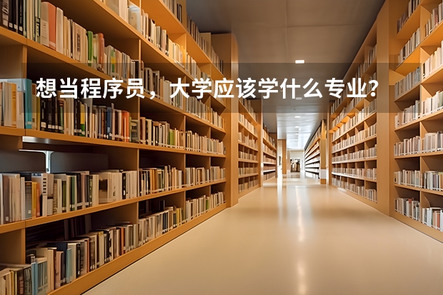 想当程序员，大学应该学什么专业？