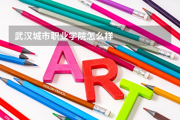 武汉城市职业学院怎么样
