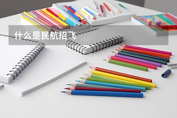 什么是民航招飞