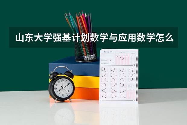 山东大学强基计划数学与应用数学怎么样