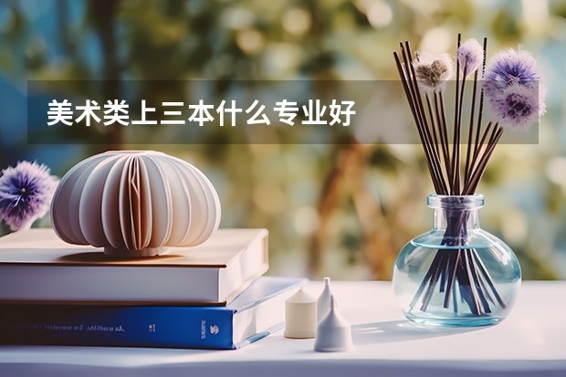 美术类上三本什么专业好