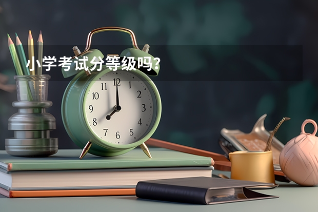 小学考试分等级吗?