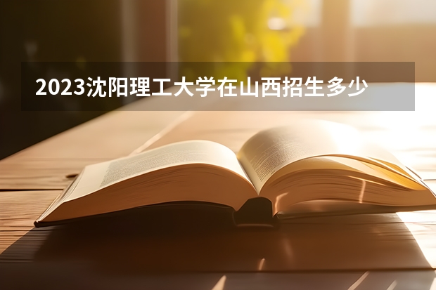 2023沈阳理工大学在山西招生多少人