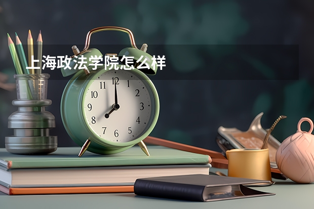 上海政法学院怎么样