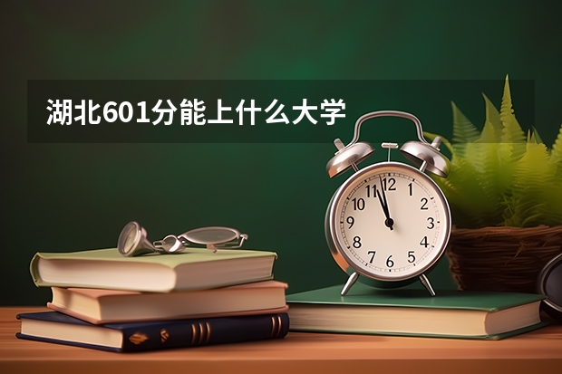 湖北601分能上什么大学