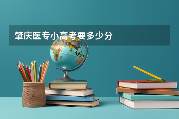 肇庆医专小高考要多少分
