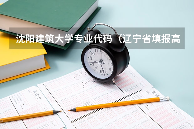 沈阳建筑大学专业代码（辽宁省填报高考志愿时用的院校代码与专业代码应该分别是几位？）
