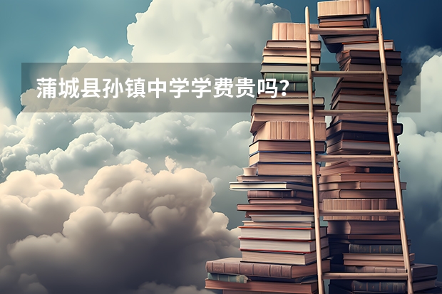 蒲城县孙镇中学学费贵吗?